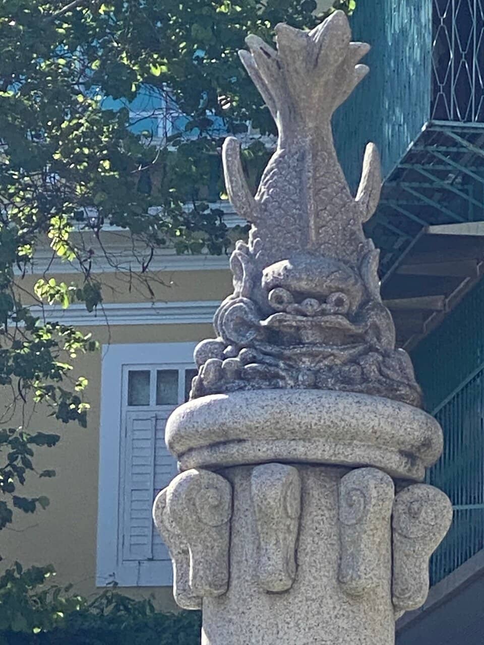 Vertical photo