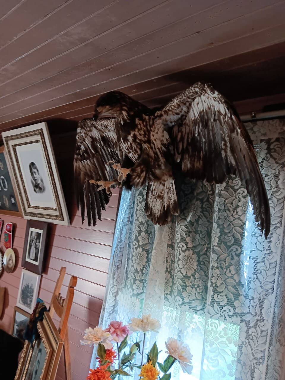 Moore Cabin