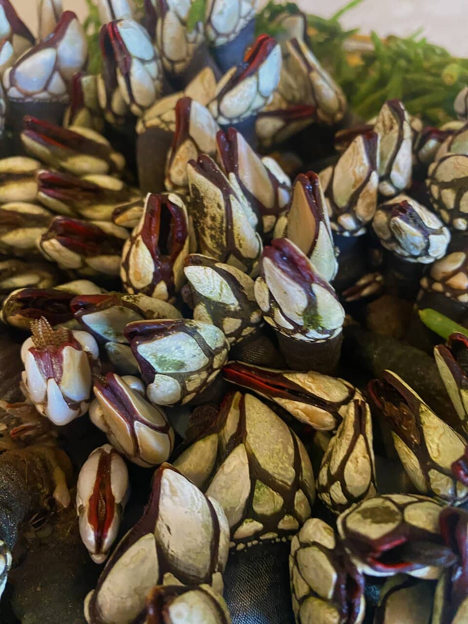 Reasonable Prices for Quality