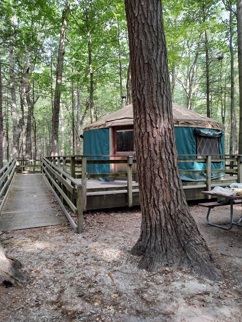 Summer Concert Series