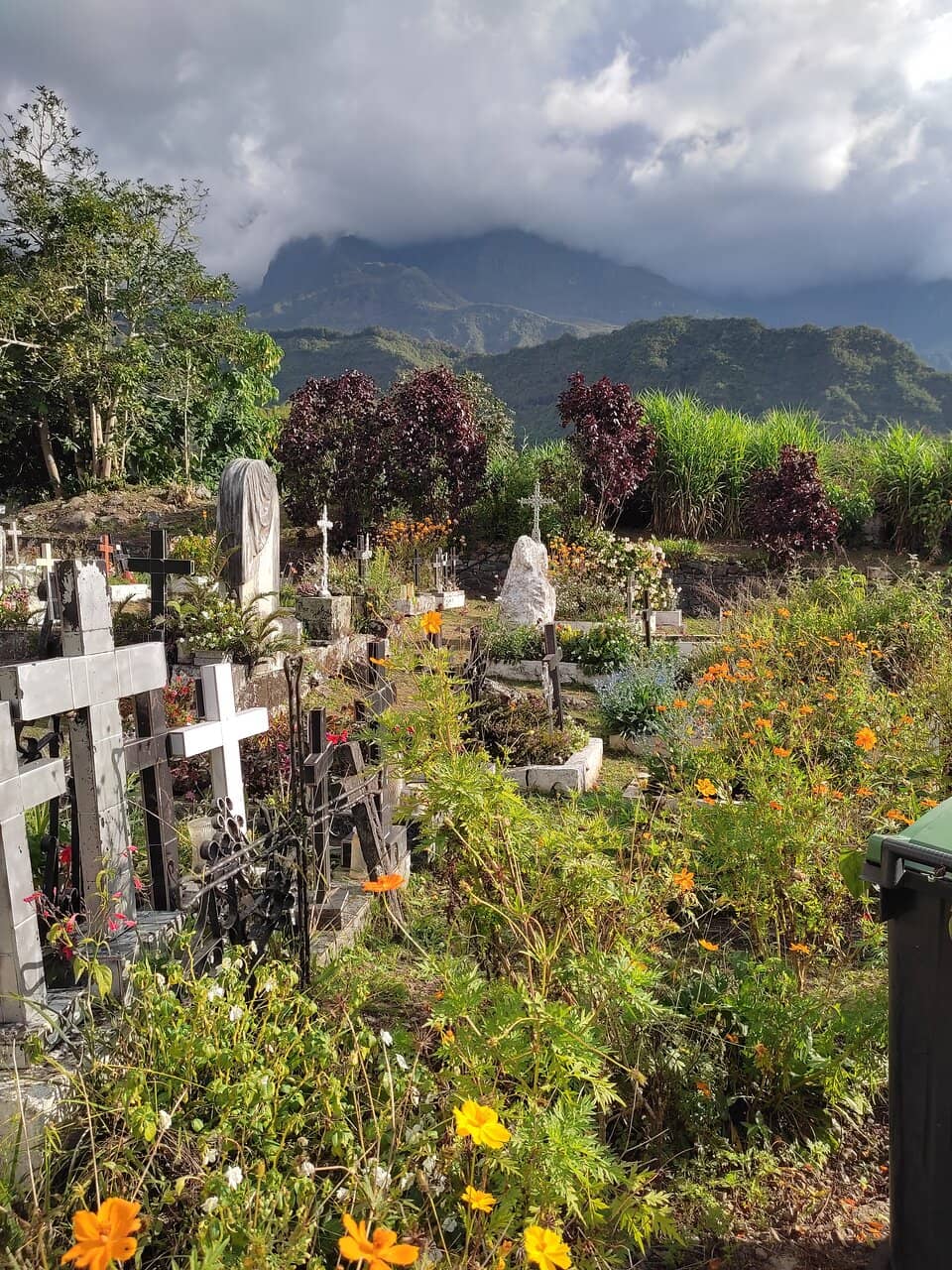 Landscaped Beauty
