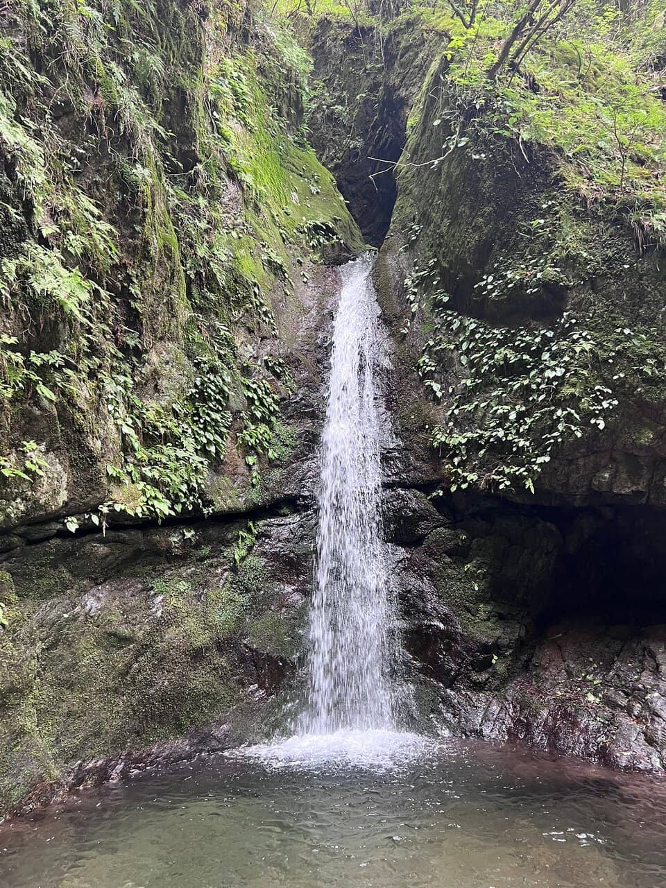 Vertical photo