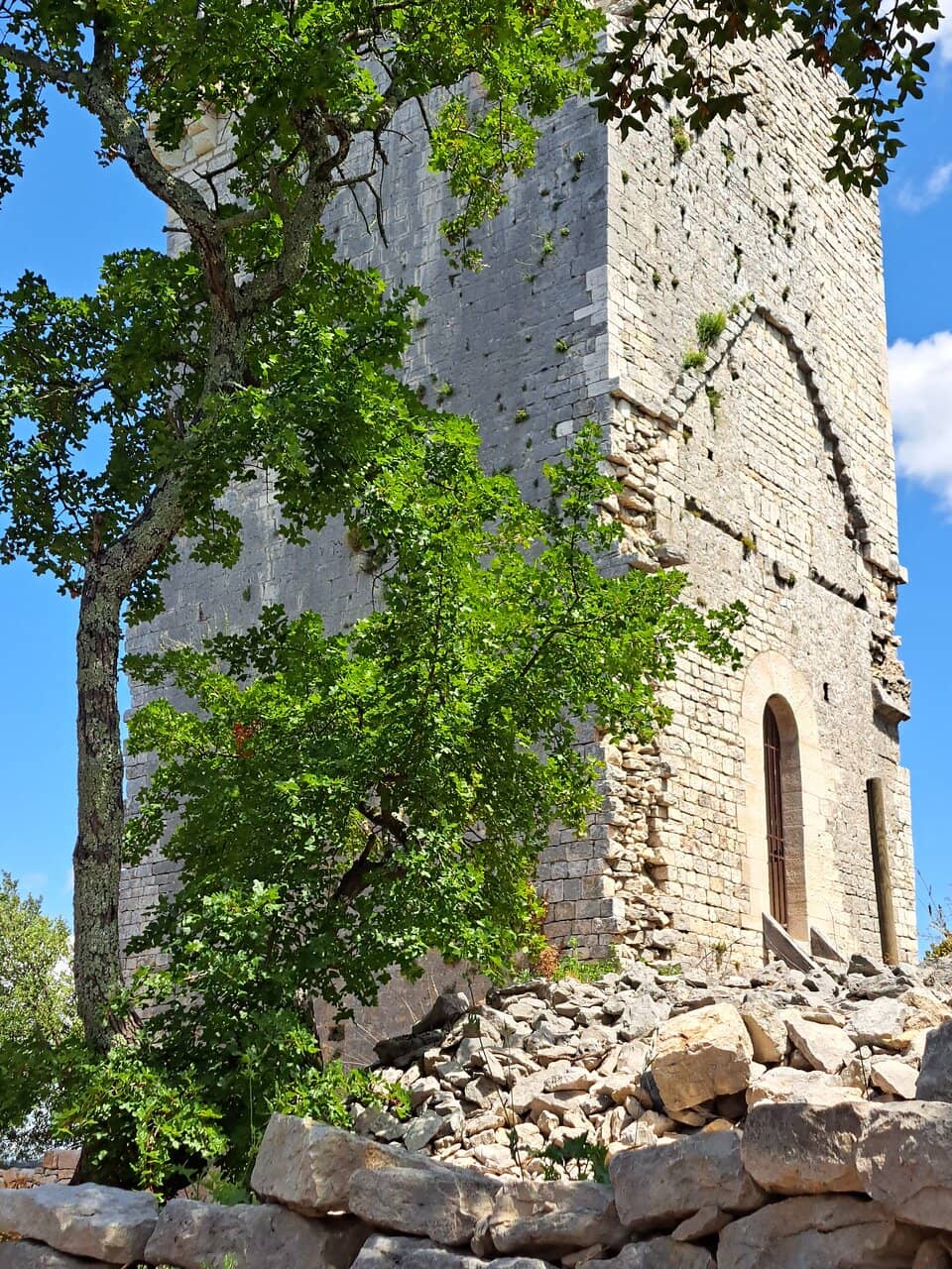 Vertical photo