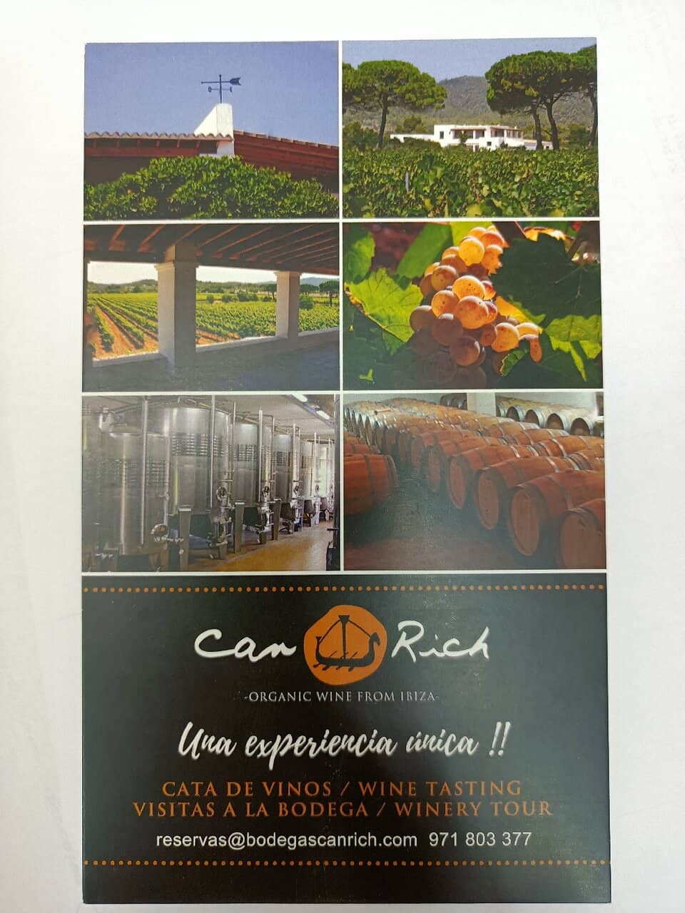 Lush Green Valley Walk