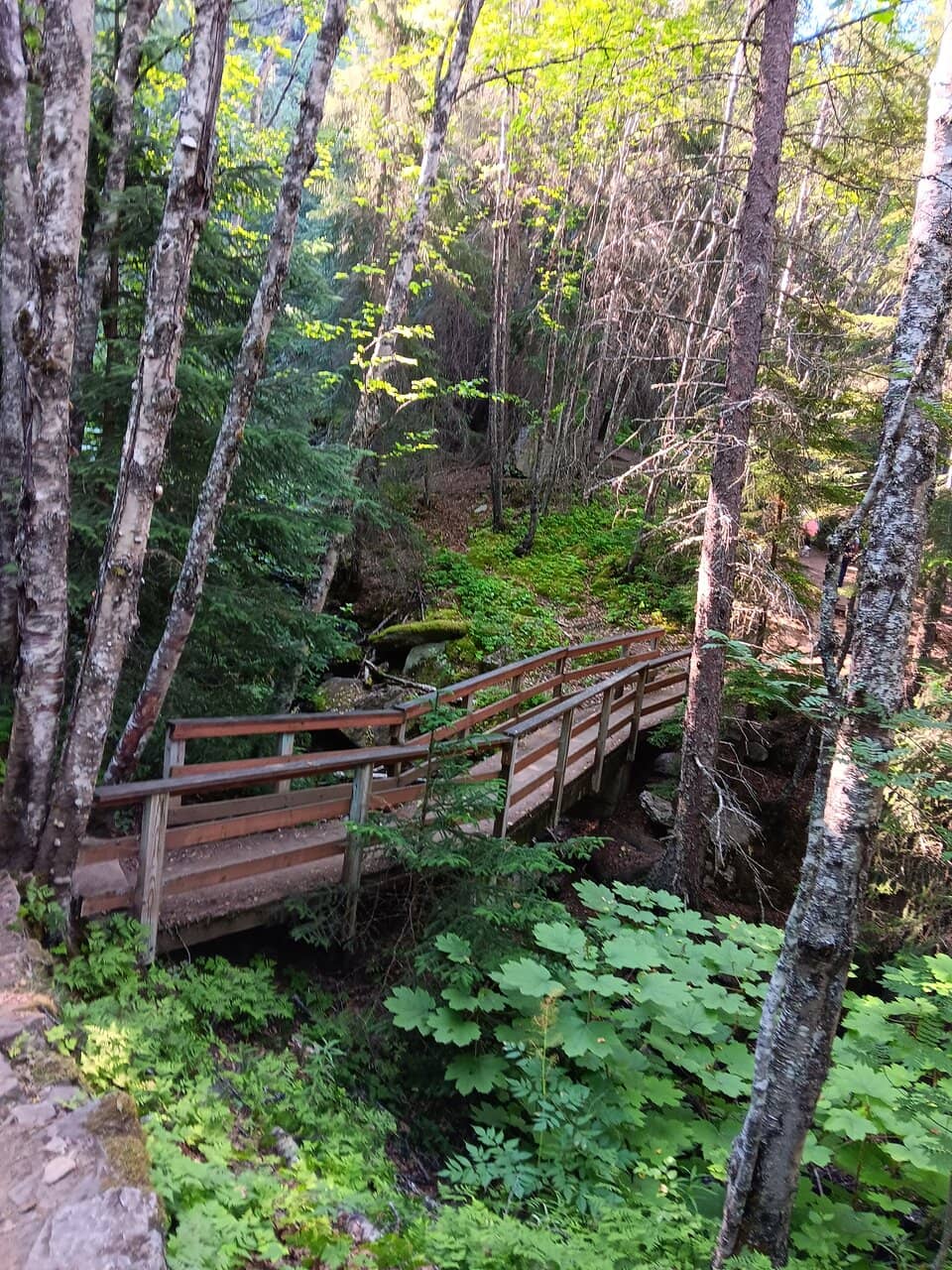 Upper Dewey Lake
