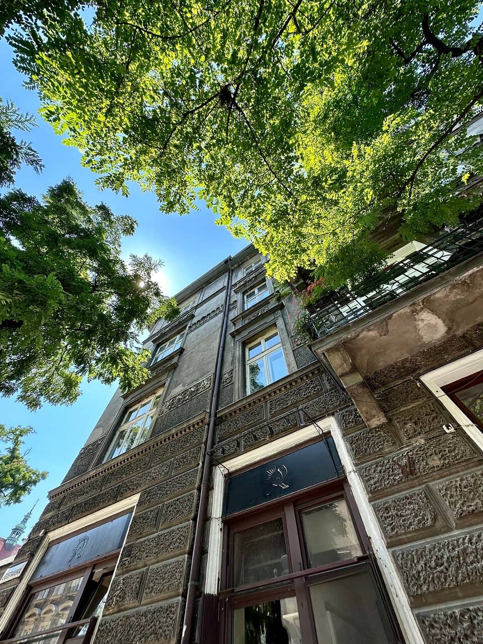 Shakshuka Perfection