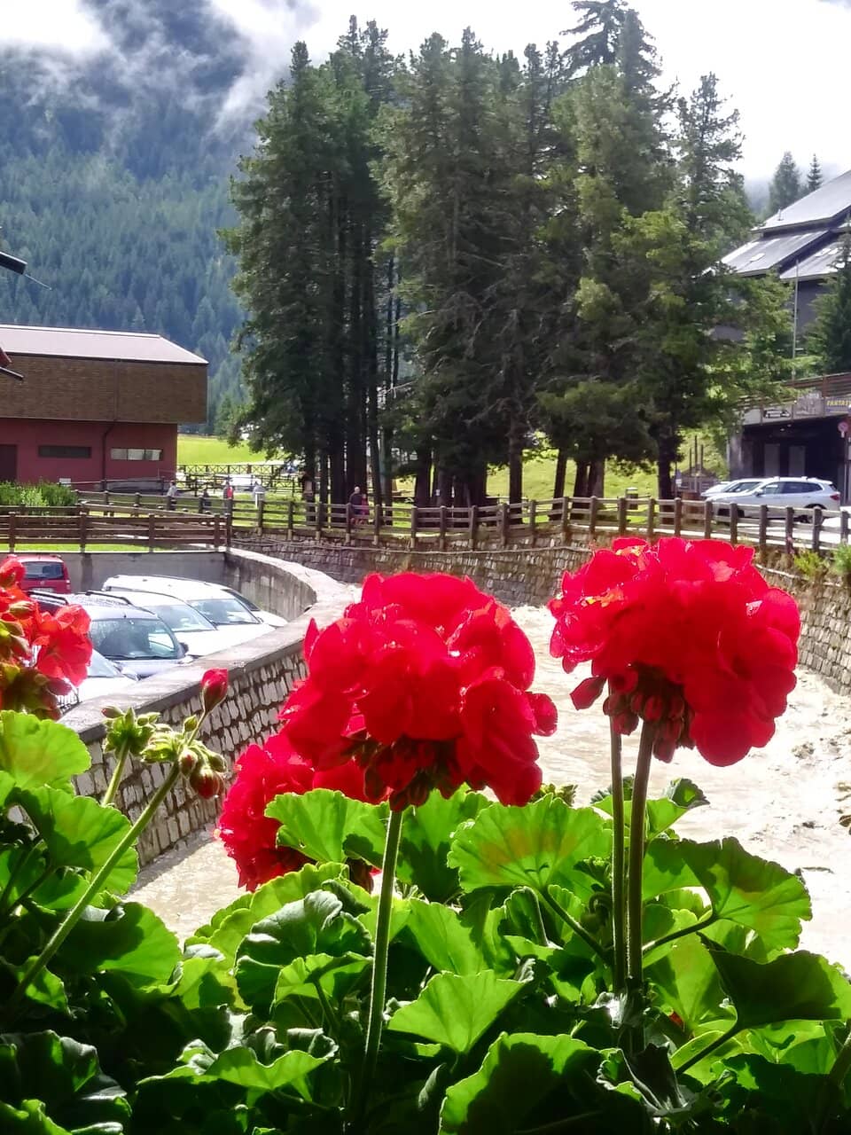 WWI Trenches & Fortifications