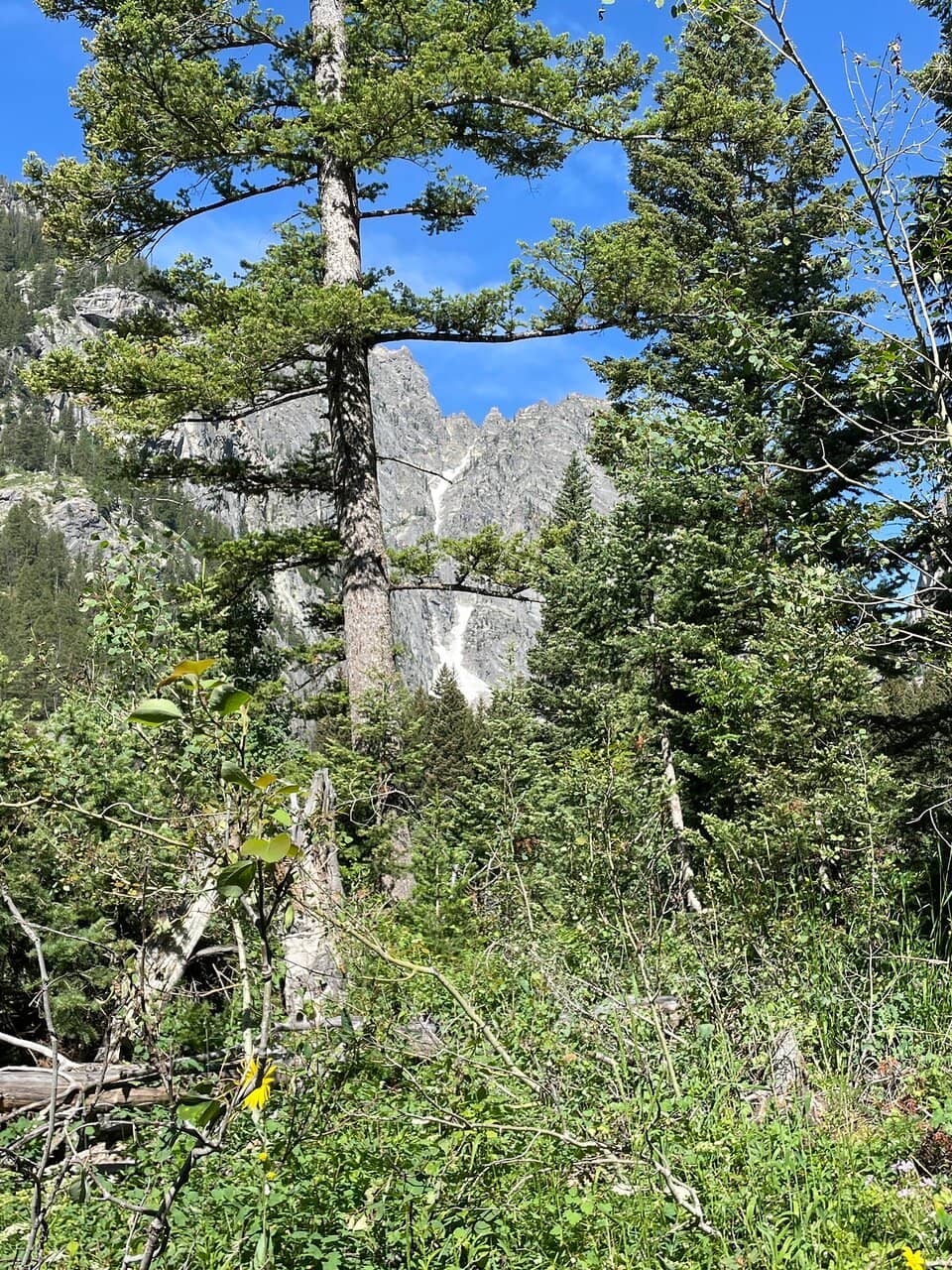 Phelps Lake Overlook