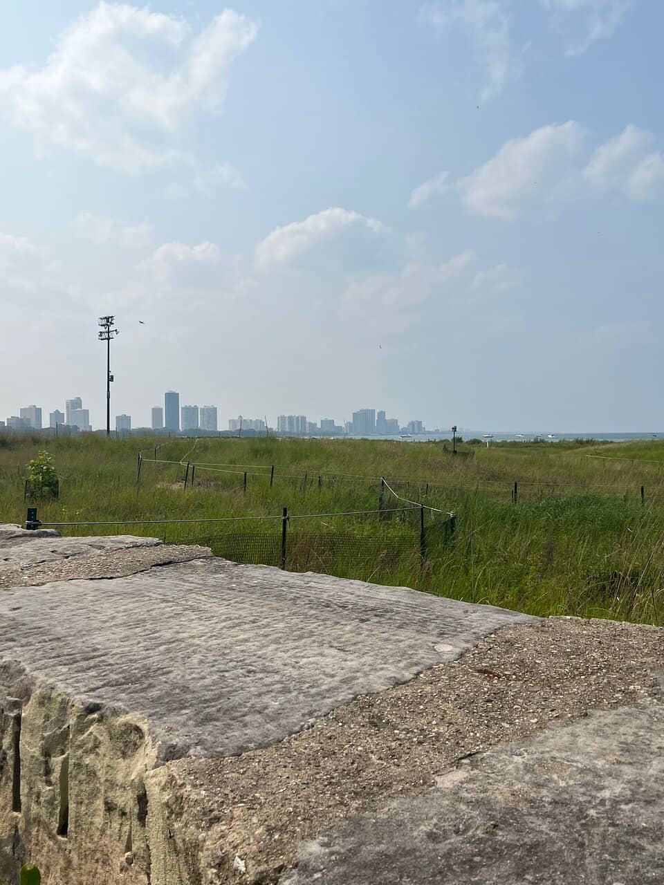 Piping Plover Nesting Site