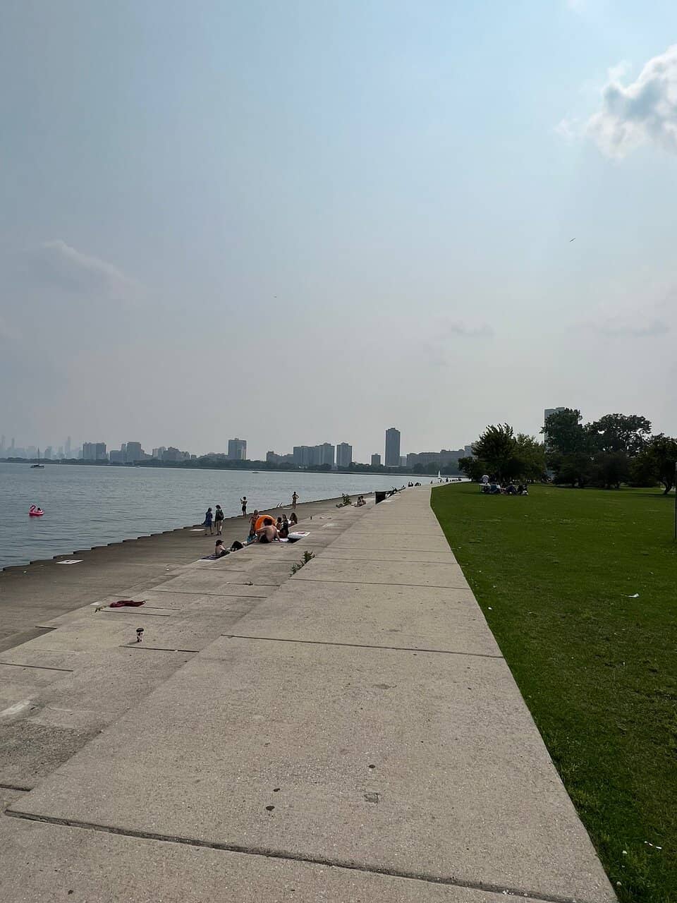 Migratory Bird Haven