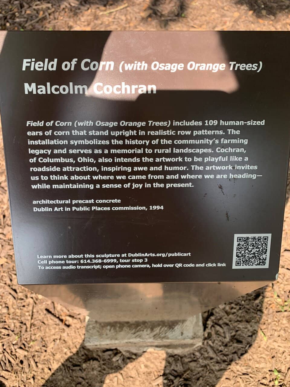 The 'Cornhedge'