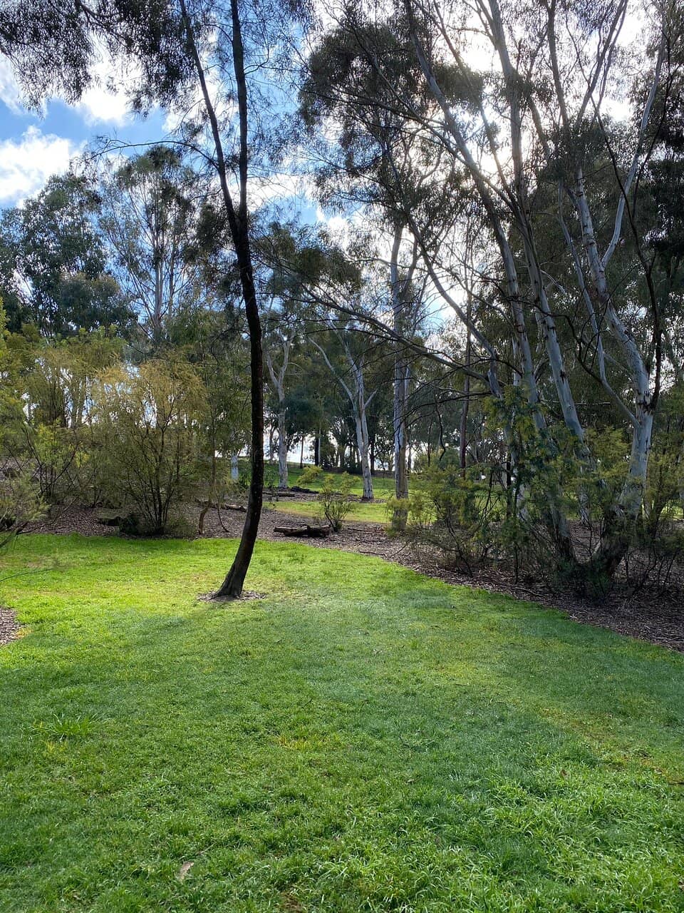 Playground & Pond