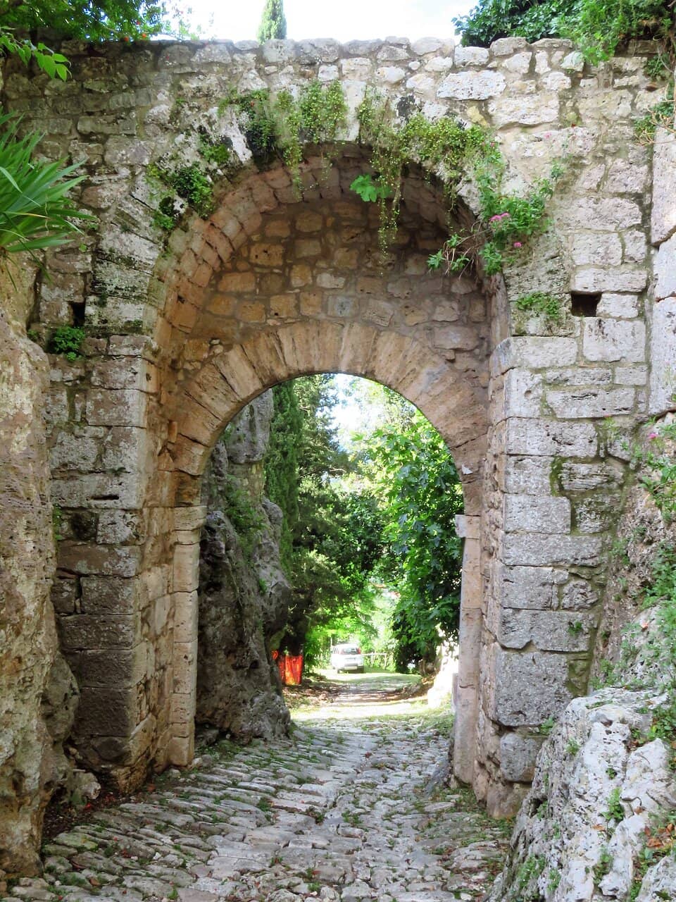 Vertical photo