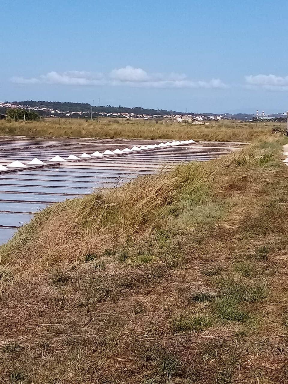 Traditional Salt Harvesting