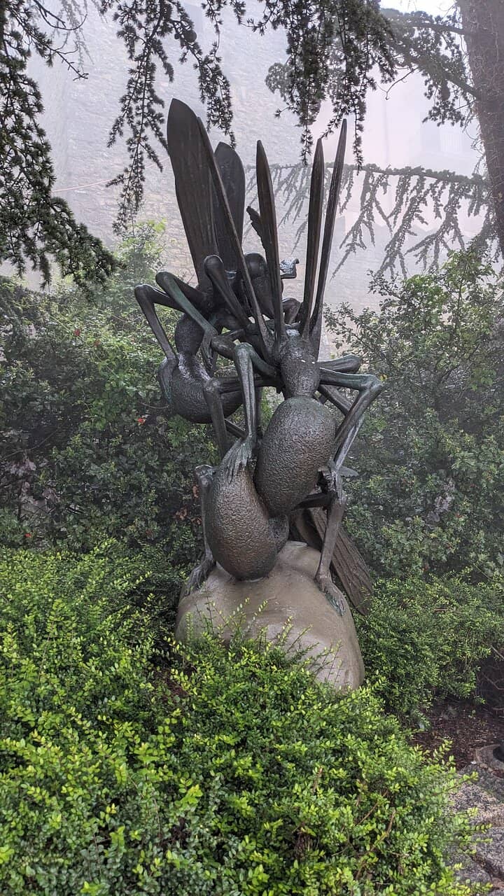 Expansive Lawns & Trees