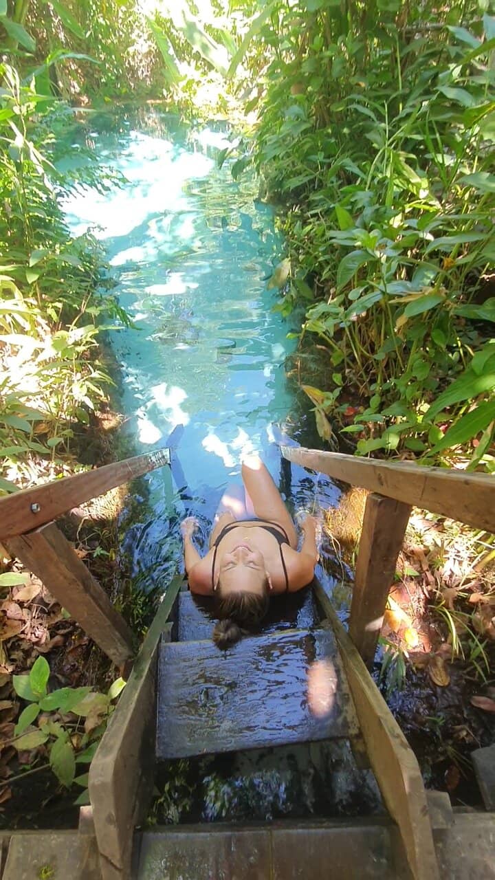 Jungle Oasis