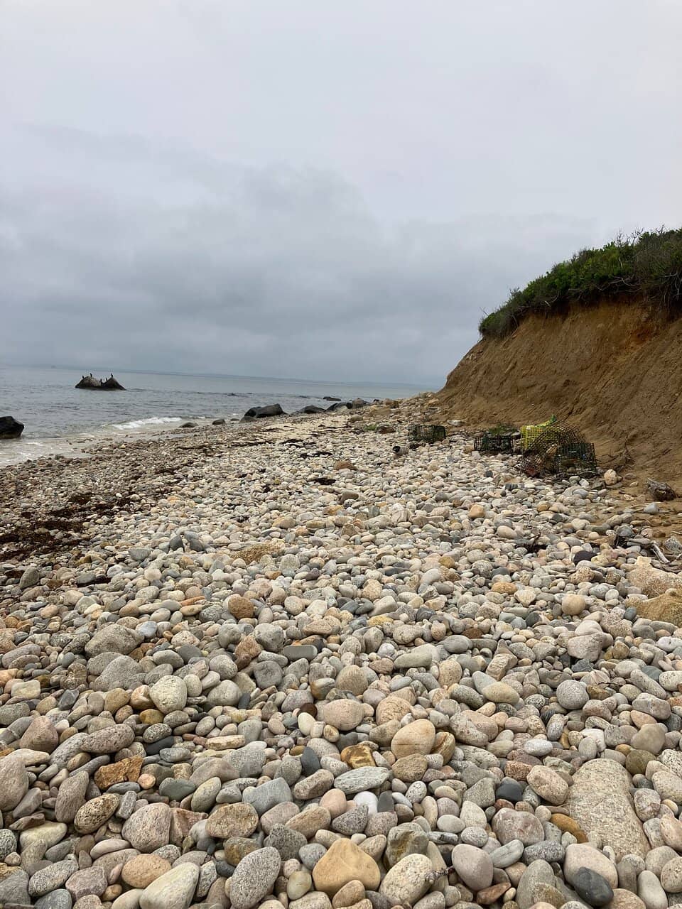 Enchanting Beach Access