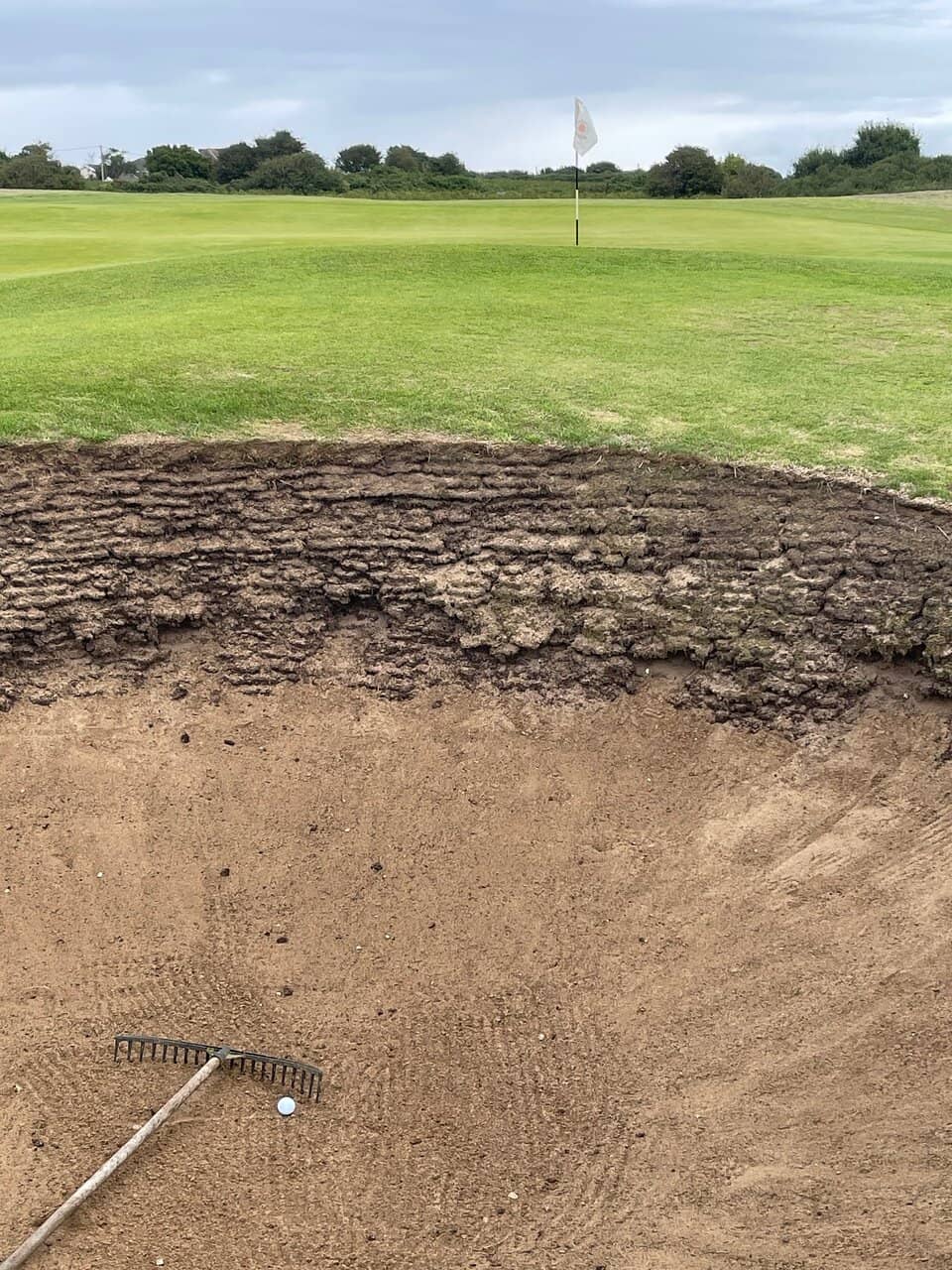 Hole 4: The Scene of a Hole-in-One