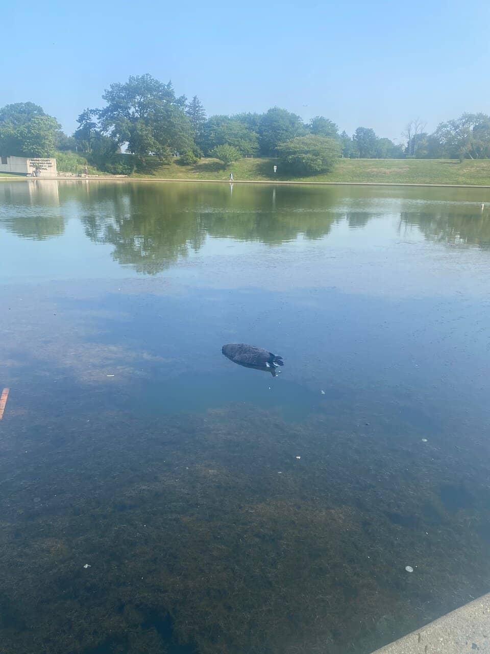 Sprawling Playgrounds & Open Fields