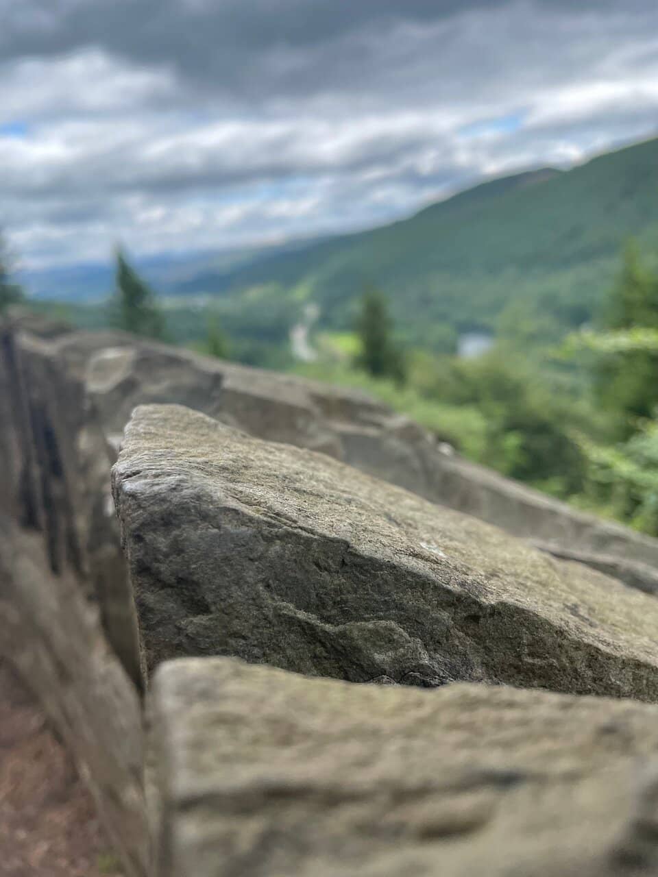 Dunkeld Forest Trails