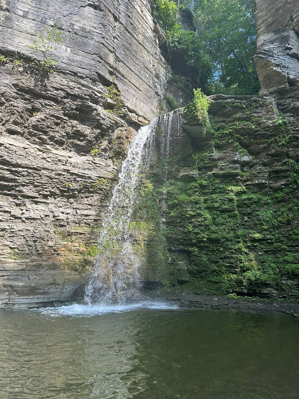 Vertical photo