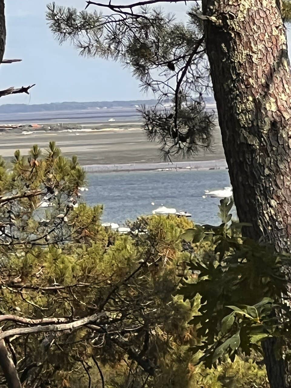 Fresh Produce & Seafood