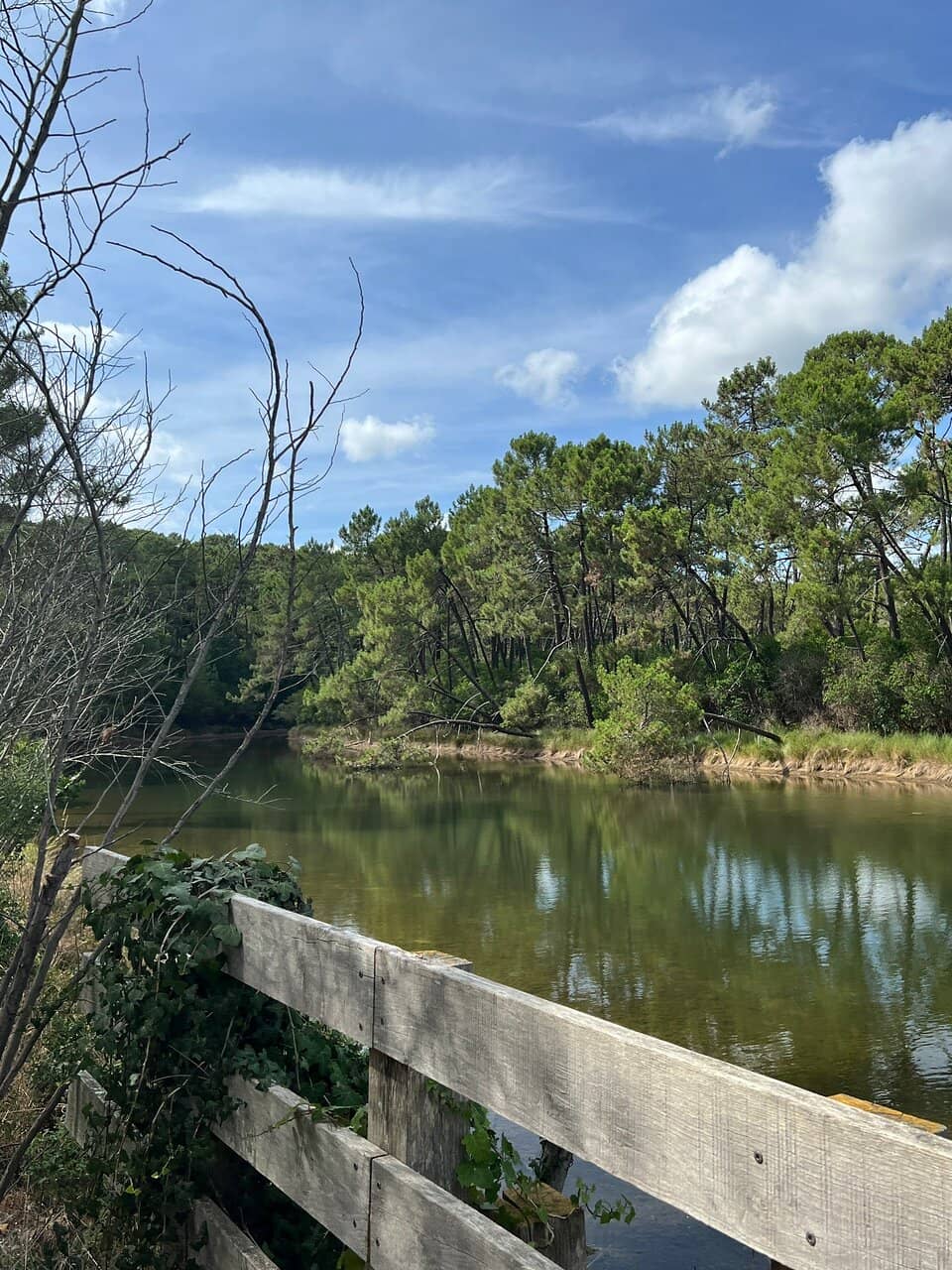 World-Class Cheesemonger