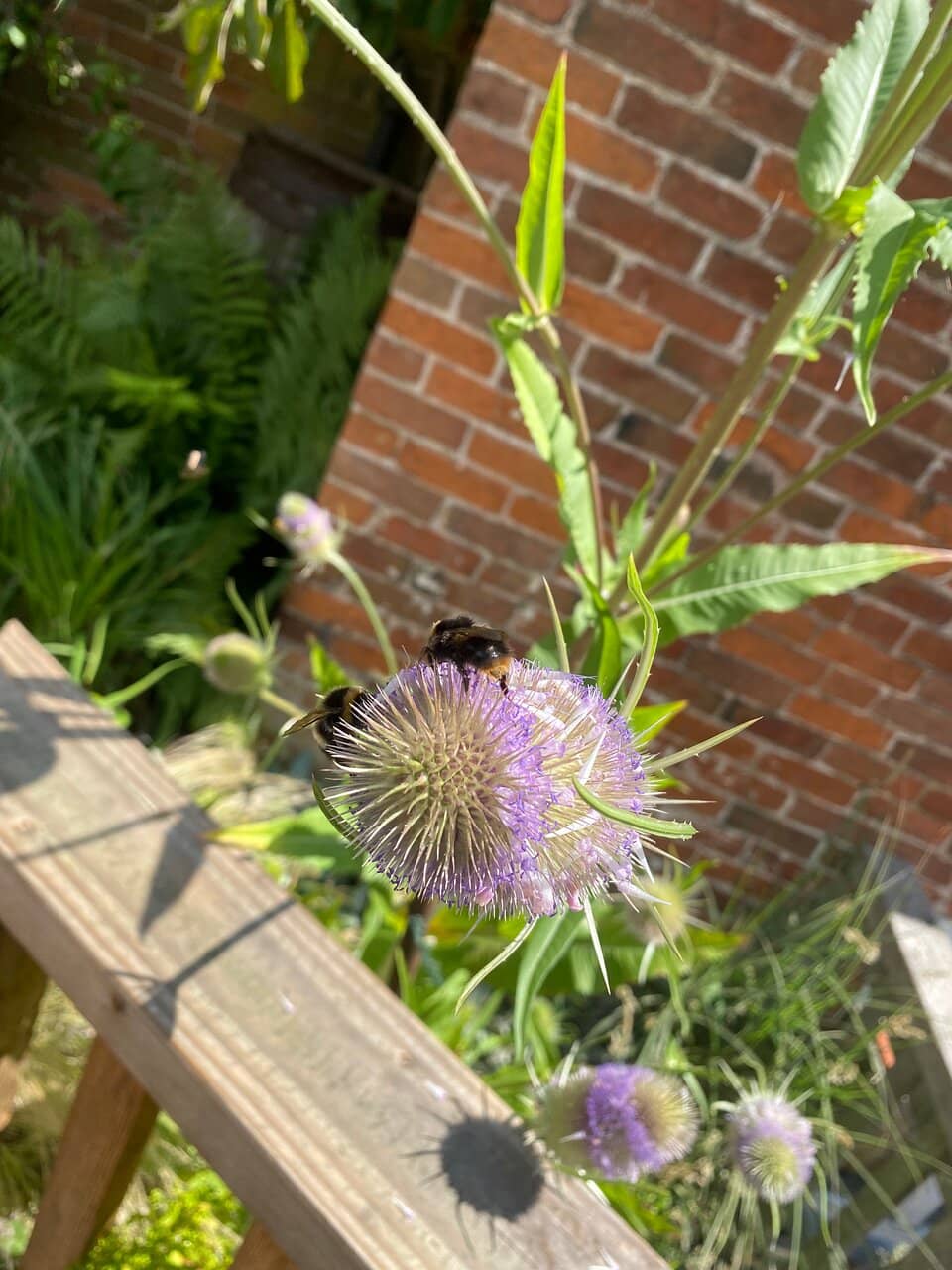 Working 18th-Century Mill