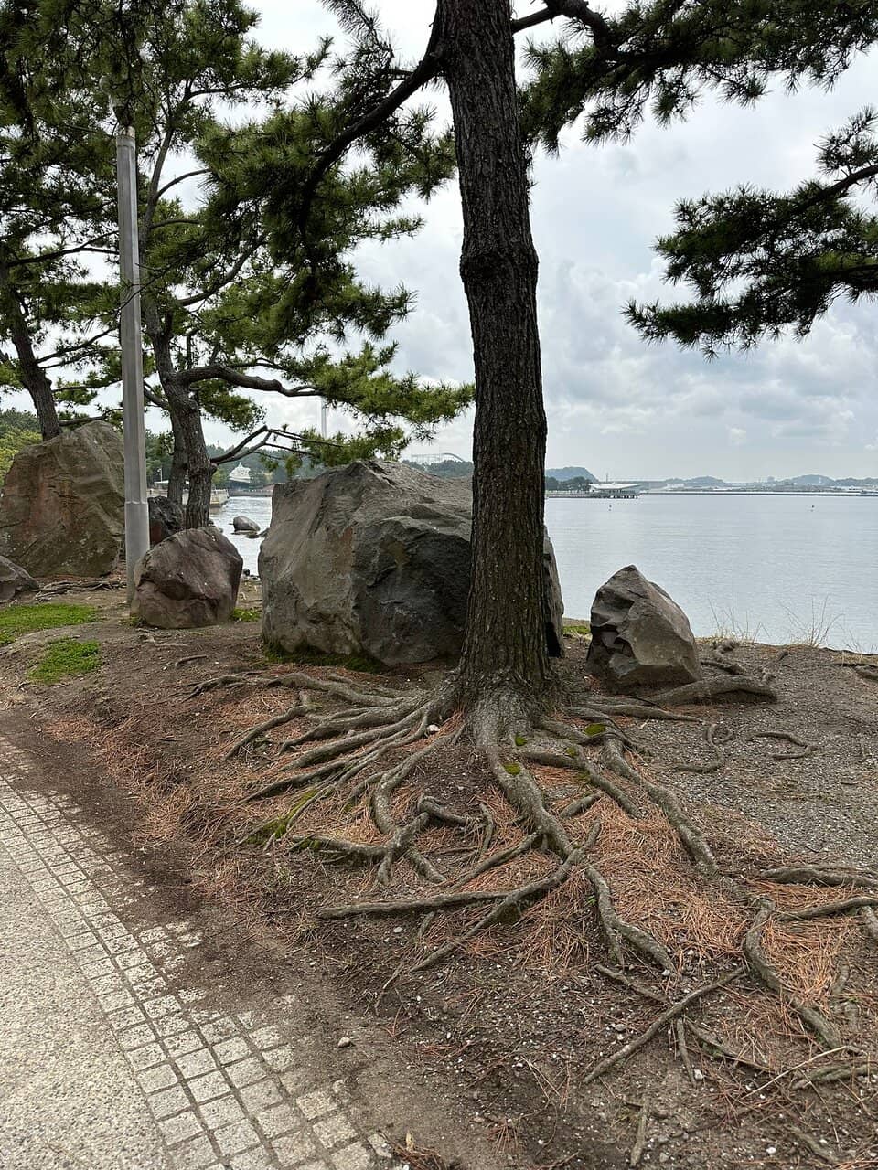 Artificial Beach