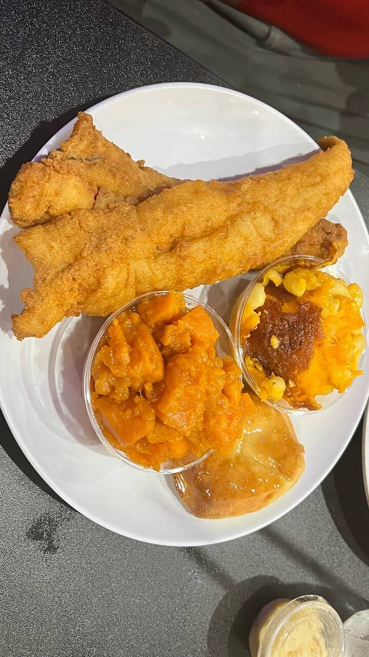 Live Music & Entertainment