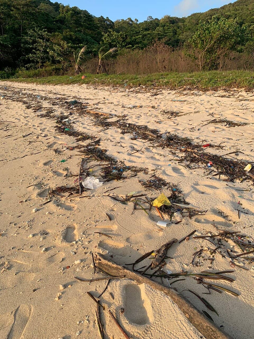 Coral Reef Snorkeling