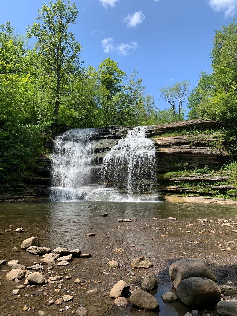 Scenic Walking Trails