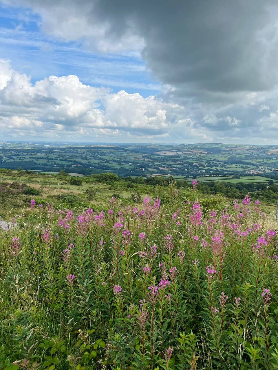 Wind Turbine Spotting