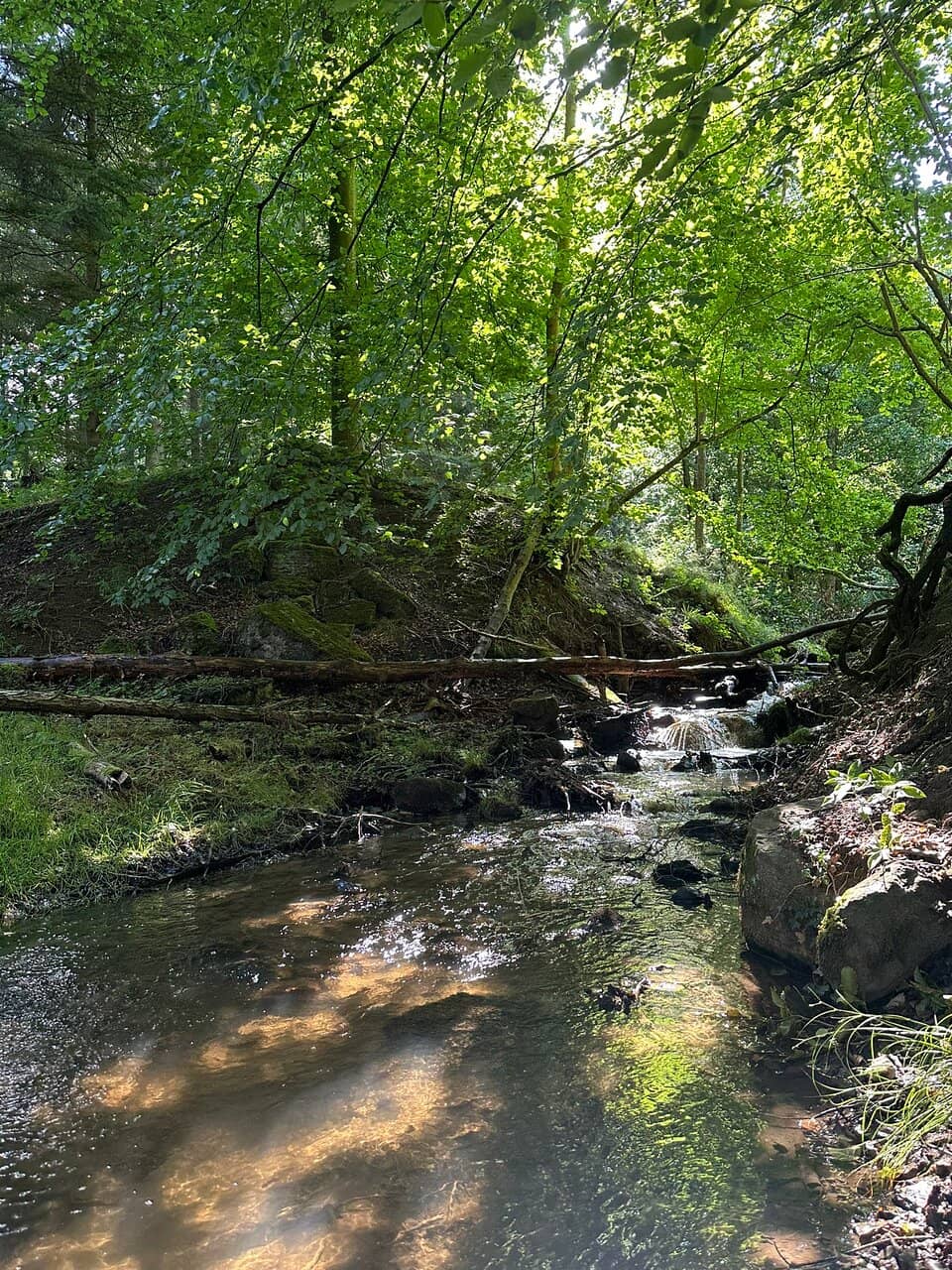 Picnic & BBQ Facilities