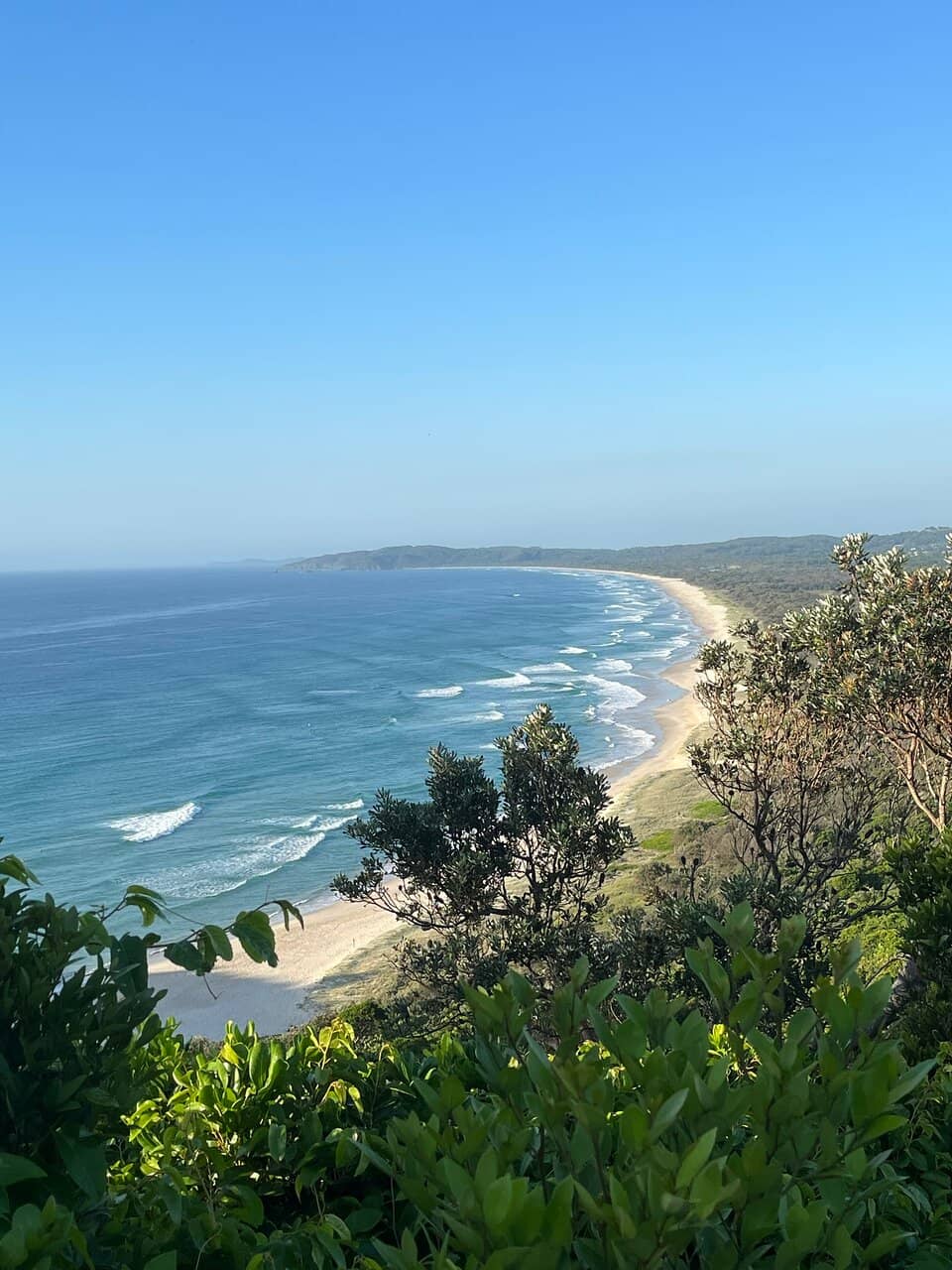 Surfer's Delight