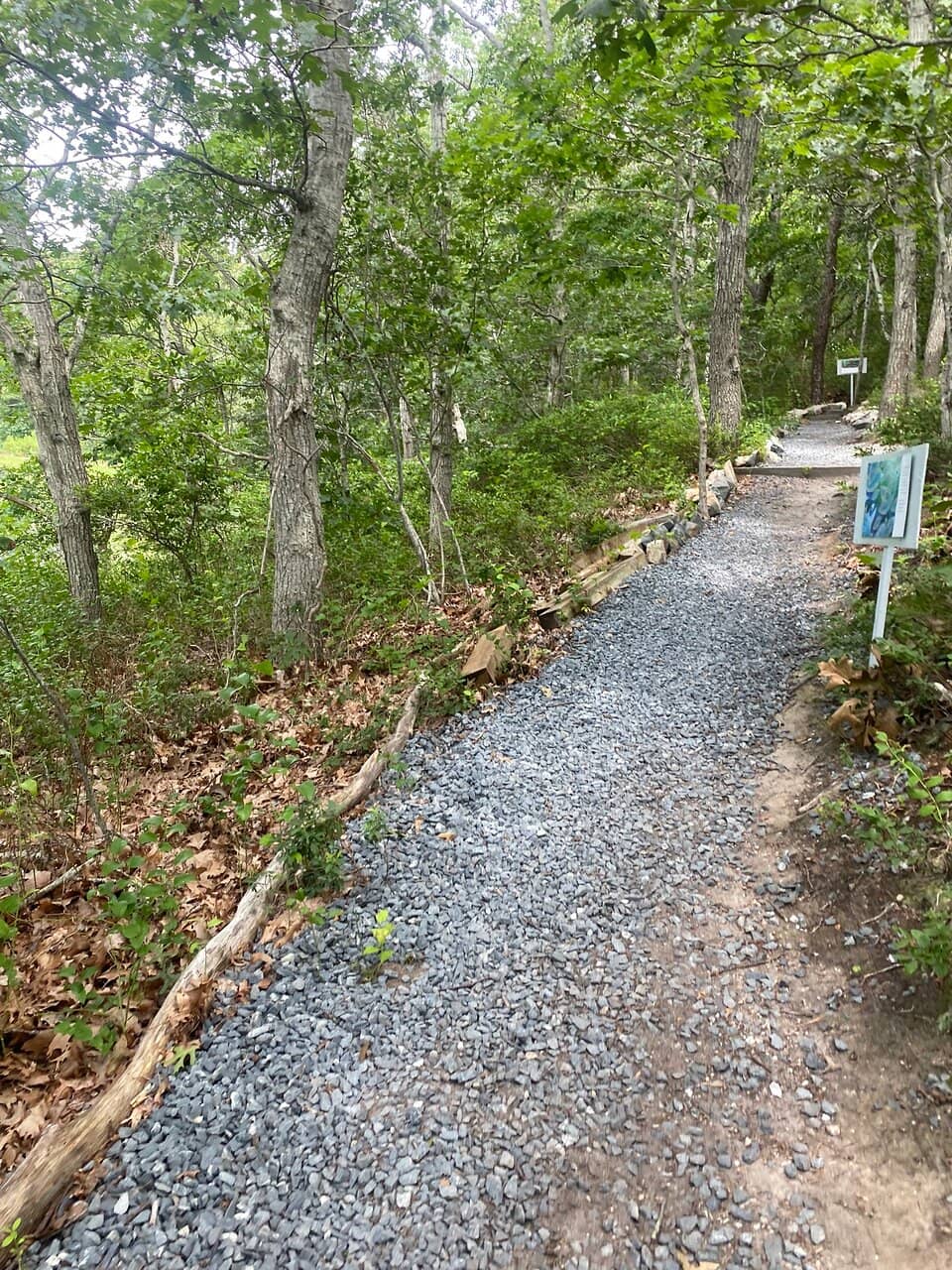 Woodland Trails