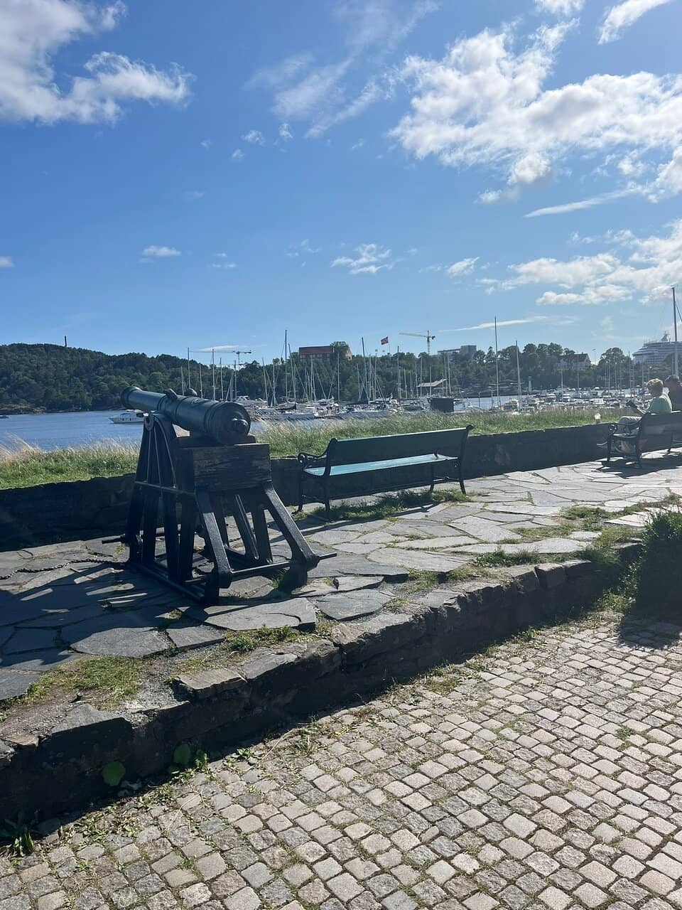 Harbor Views