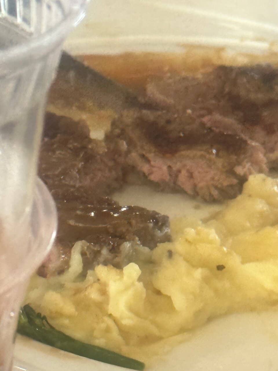 Daytime Scenic Cruise