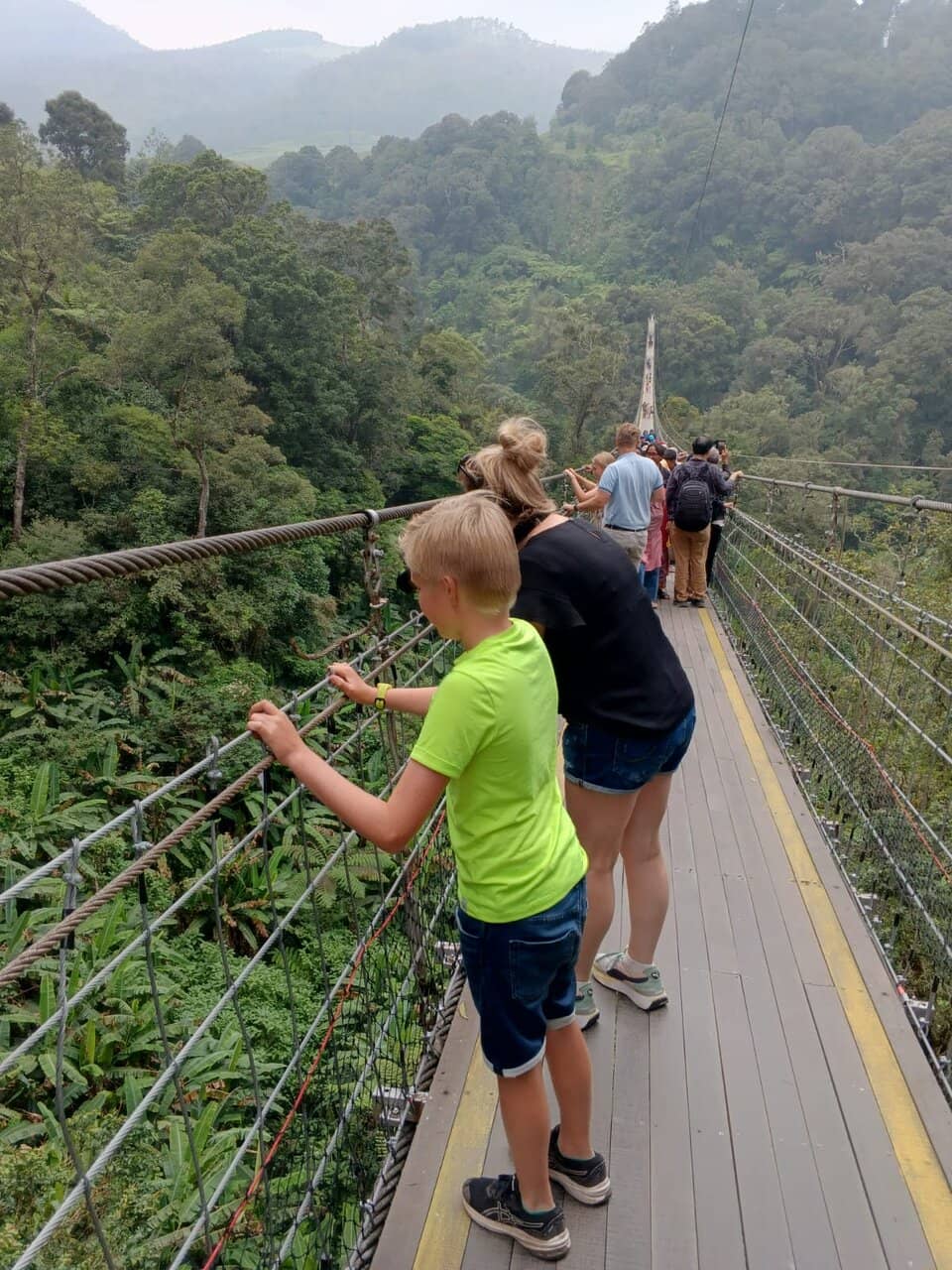 Surrounding Tea Plantations