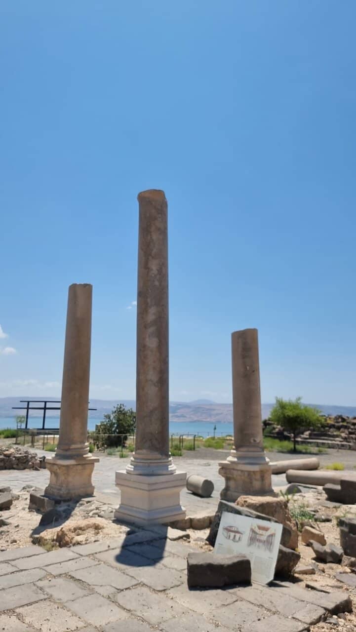 Post-Fire Regeneration Area