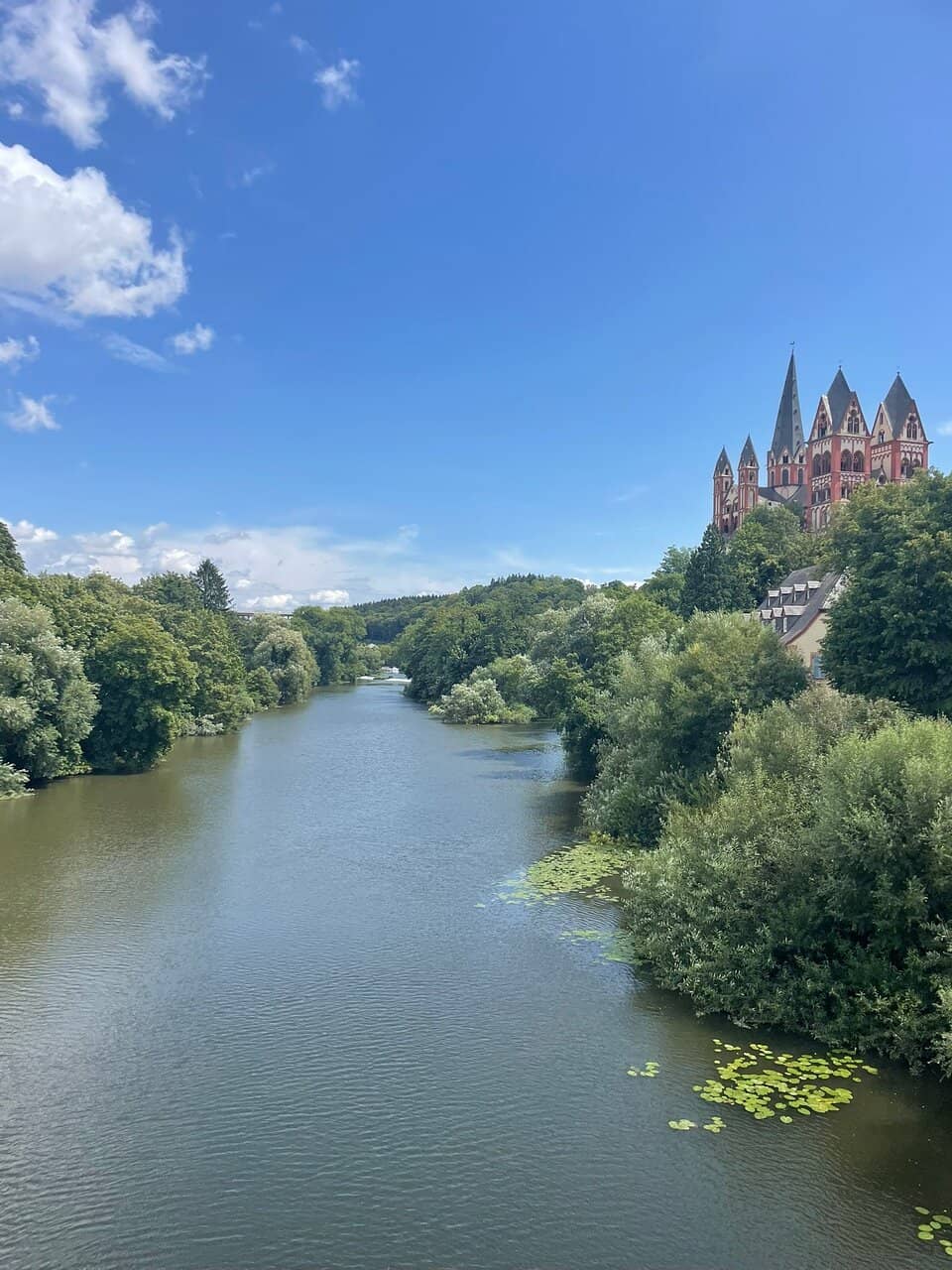 Limburg Cathedral View