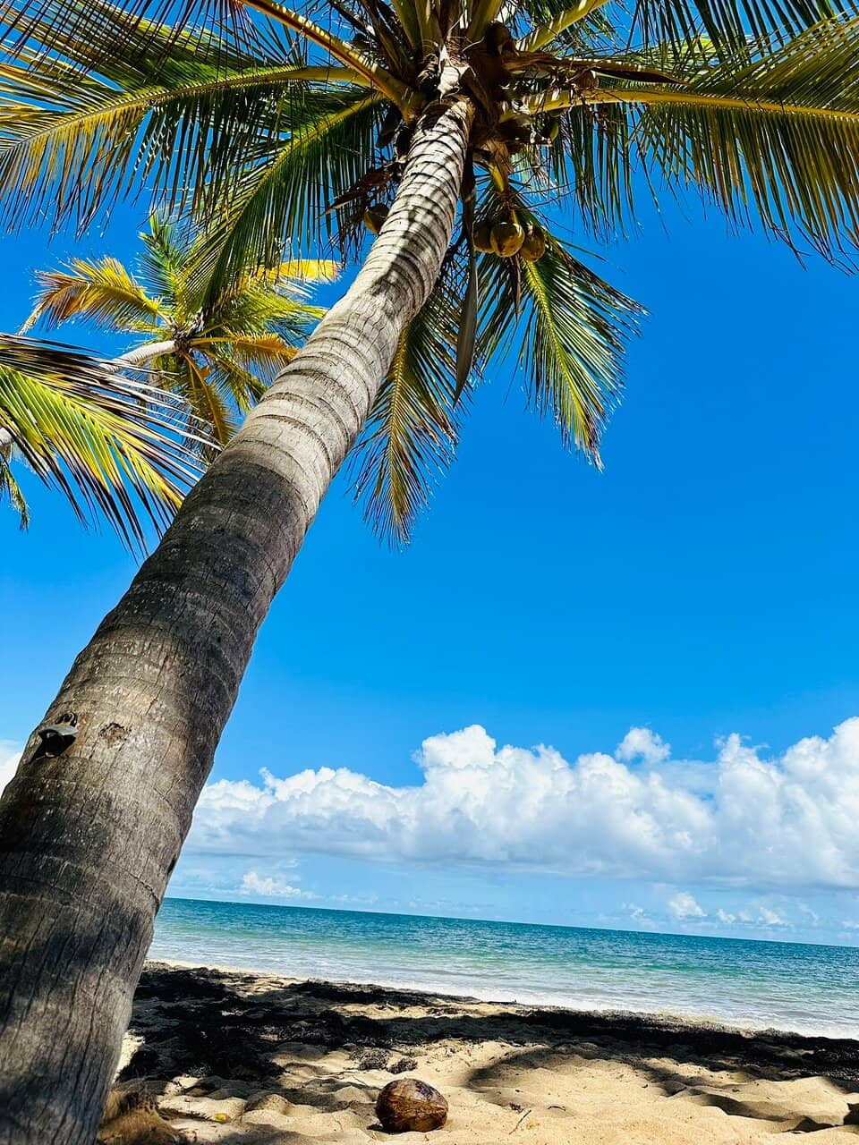 Seahorse Beach House Views