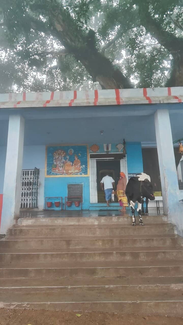 Panoramic Hilltop Views