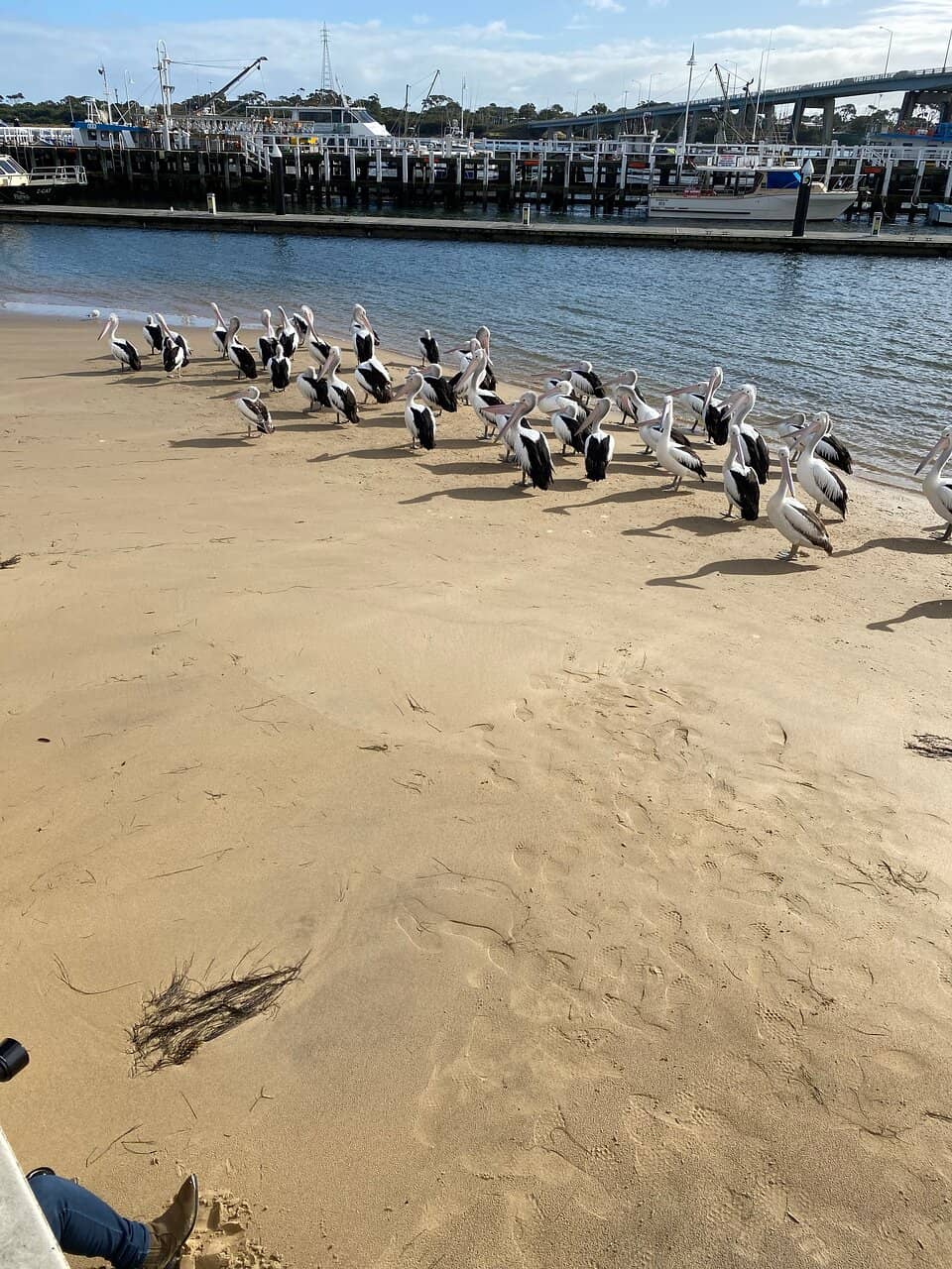 Coastal Walk & Views