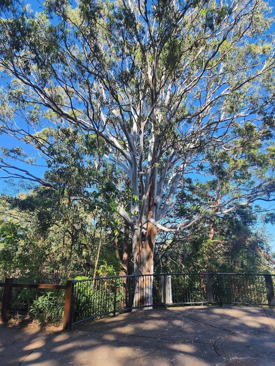 National Park Trails