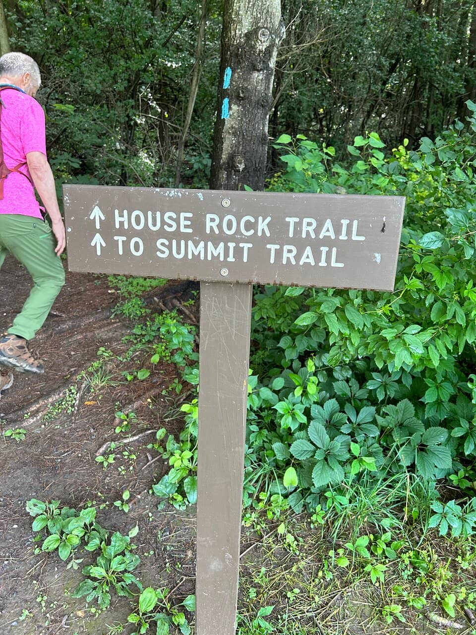Summit Trail Hike