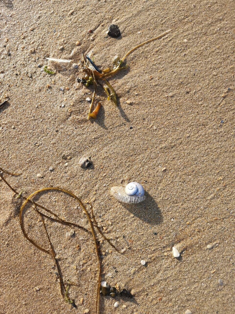 Golden Sands & Coastal Walks