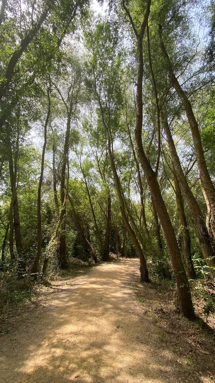 Olarizu Botanical Garden