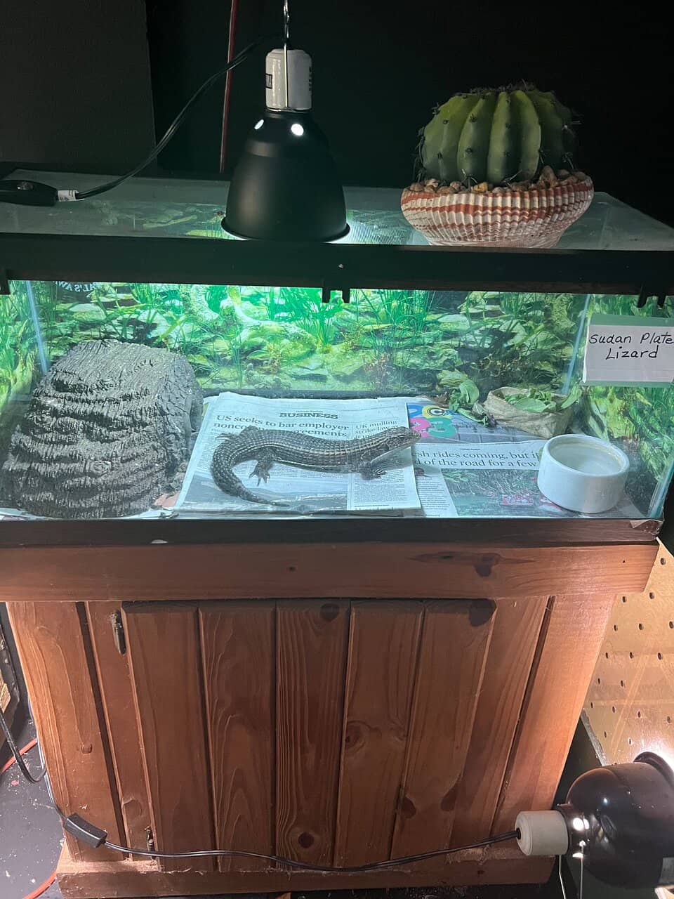 Meet and Hold a Snake