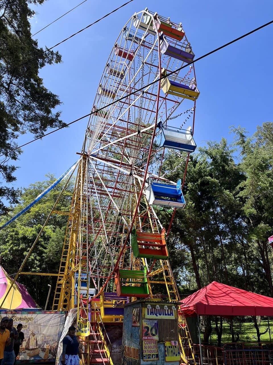 Local Street Food Delights